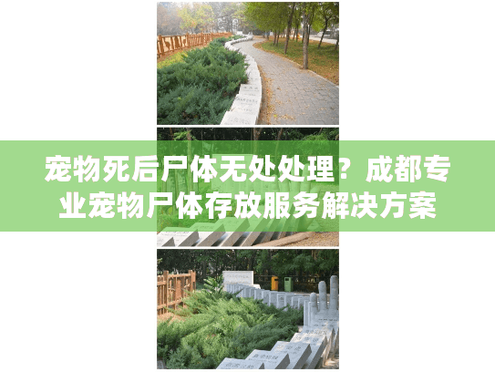 宠物死后尸体无处处理？成都专业宠物尸体存放服务解决方案