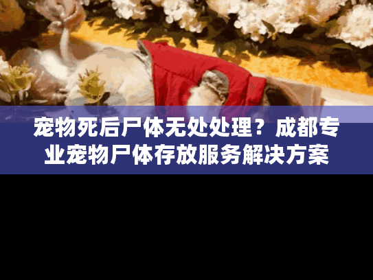 宠物死后尸体无处处理？成都专业宠物尸体存放服务解决方案