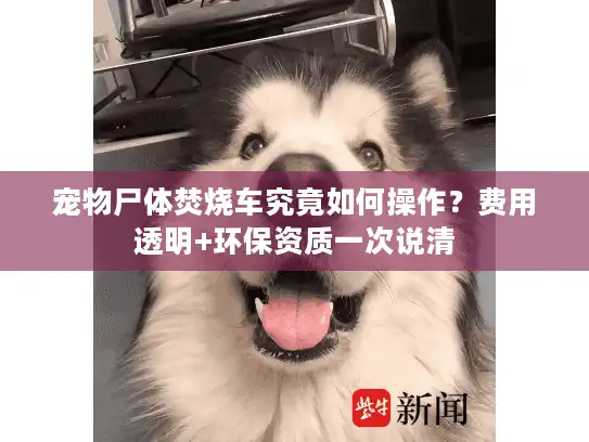 宠物尸体焚烧车究竟如何操作?费用透明+环保资质一次说清 宠物尸体焚烧车究竟如何操作?费用透明+环保资质一次说清