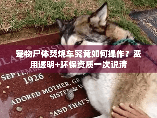 宠物尸体焚烧车究竟如何操作?费用透明+环保资质一次说清 宠物尸体焚烧车究竟如何操作?费用透明+环保资质一次说清