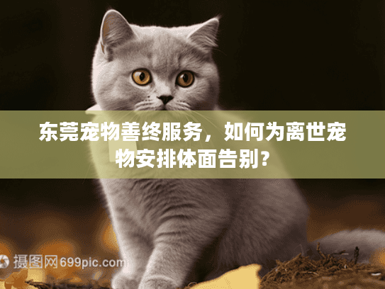 东莞宠物善终服务，如何为离世宠物安排体面告别？