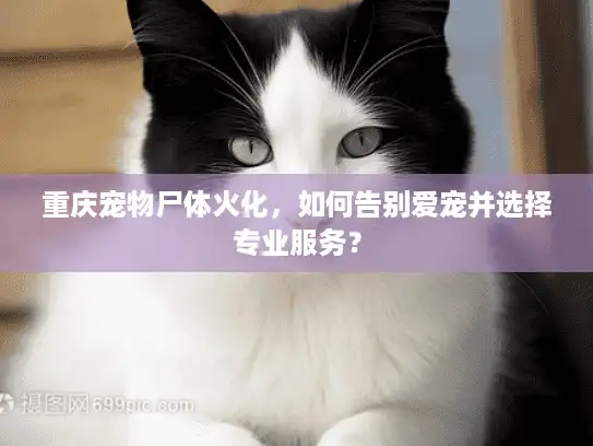 重庆宠物尸体火化,如何告别爱宠并选择专业服务? 重庆宠物尸体火化,如何告别爱宠并选择专业服务?