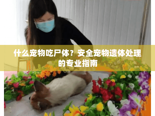 什么宠物吃尸体？安全宠物遗体处理的专业指南