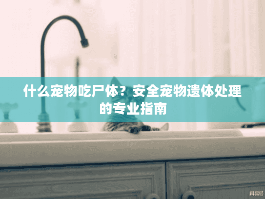 什么宠物吃尸体？安全宠物遗体处理的专业指南