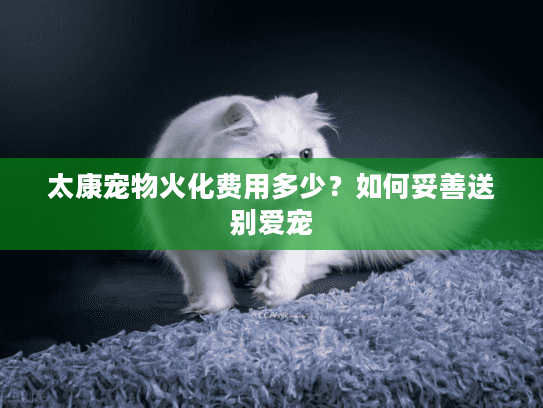 太康宠物火化费用多少？如何妥善送别爱宠