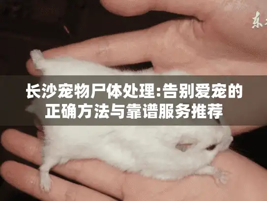 长沙宠物尸体处理:告别爱宠的正确方法与靠谱服务推荐 长沙宠物尸体处理:告别爱宠的正确方法与靠谱服务推荐