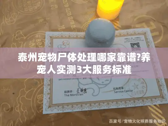 泰州宠物尸体处理哪家靠谱?养宠人实测3大服务标准 泰州宠物尸体处理哪家靠谱?养宠人实测3大服务标准