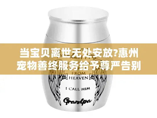 当宝贝离世无处安放?惠州宠物善终服务给予尊严告别的温暖选择 当宝贝离世无处安放?惠州宠物善终服务给予尊严告别的温暖选择