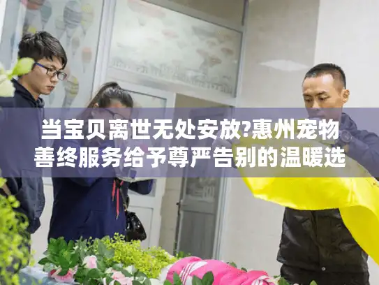 当宝贝离世无处安放?惠州宠物善终服务给予尊严告别的温暖选择 当宝贝离世无处安放?惠州宠物善终服务给予尊严告别的温暖选择