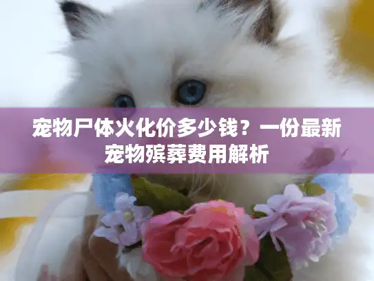 宠物尸体火化价多少钱？一份最新宠物殡葬费用解析