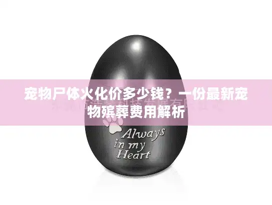 宠物尸体火化价多少钱？一份最新宠物殡葬费用解析