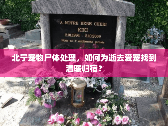 北宁宠物尸体处理,如何为逝去爱宠找到温暖归宿? 北宁宠物尸体处理,如何为逝去爱宠找到温暖归宿?