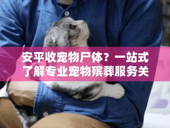 安平收宠物尸体？一站式了解专业宠物殡葬服务关键细节