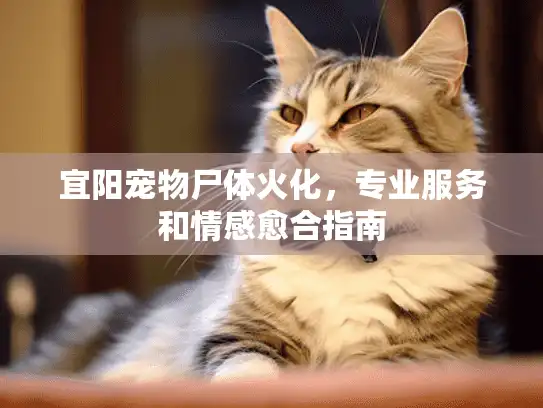 宜阳宠物尸体火化,专业服务和情感愈合指南 宜阳宠物尸体火化,专业服务和情感愈合指南