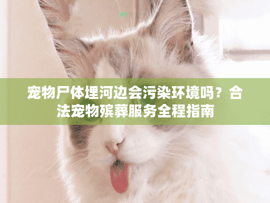 宠物尸体埋河边会污染环境吗?合法宠物殡葬服务全程指南 宠物尸体埋河边会污染环境吗?合法宠物殡葬服务全程指南