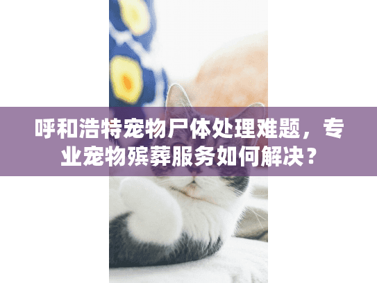 呼和浩特宠物尸体处理难题，专业宠物殡葬服务如何解决？
