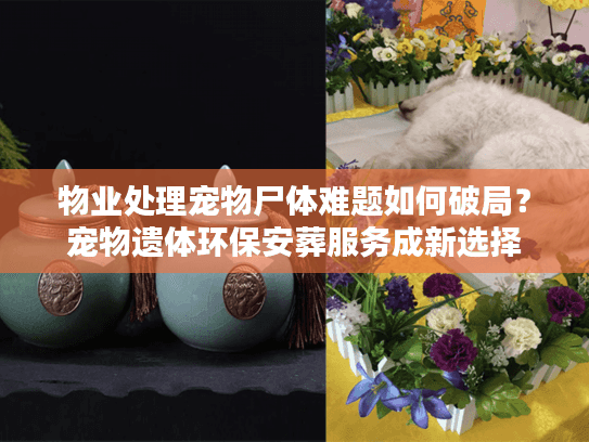 物业处理宠物尸体难题如何破局？宠物遗体环保安葬服务成新选择