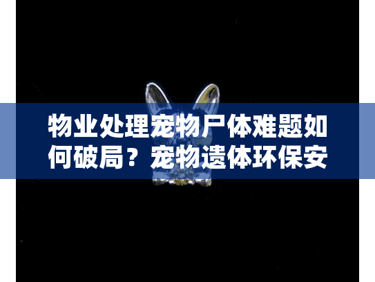 物业处理宠物尸体难题如何破局？宠物遗体环保安葬服务成新选择