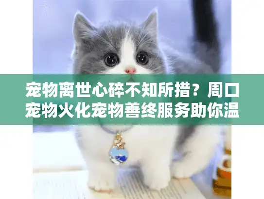 宠物离世心碎不知所措？周口宠物火化宠物善终服务助你温情告别
