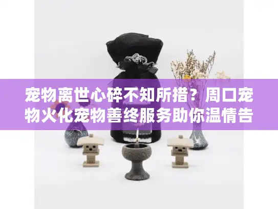 宠物离世心碎不知所措？周口宠物火化宠物善终服务助你温情告别