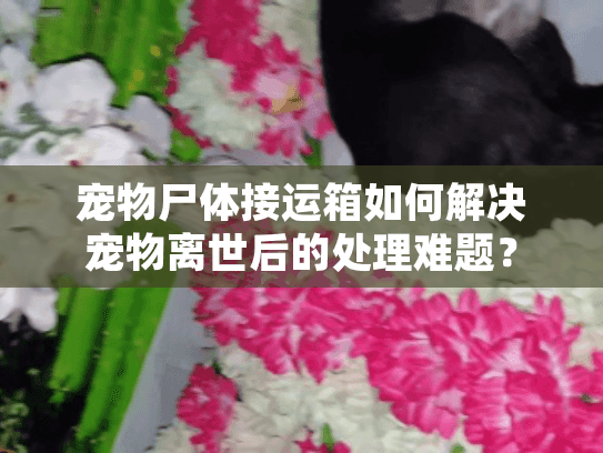 宠物尸体接运箱如何解决宠物离世后的处理难题？