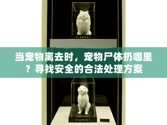当宠物离去时,宠物尸体扔哪里?寻找安全的合法处理方案 当宠物离去时,宠物尸体扔哪里?寻找安全的合法处理方案