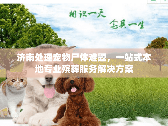 济南处理宠物尸体难题，一站式本地专业殡葬服务解决方案