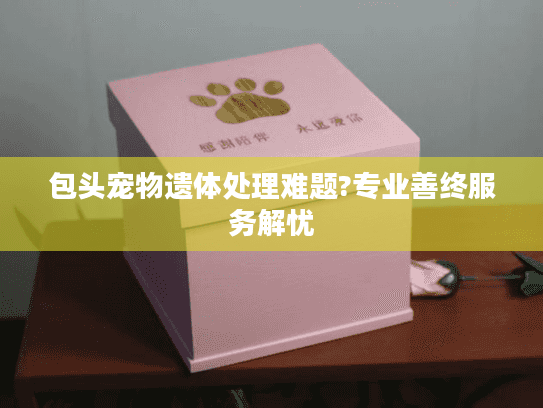 包头宠物遗体处理难题?专业善终服务解忧