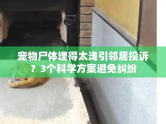 宠物尸体埋得太浅引邻居投诉？3个科学方案避免纠纷