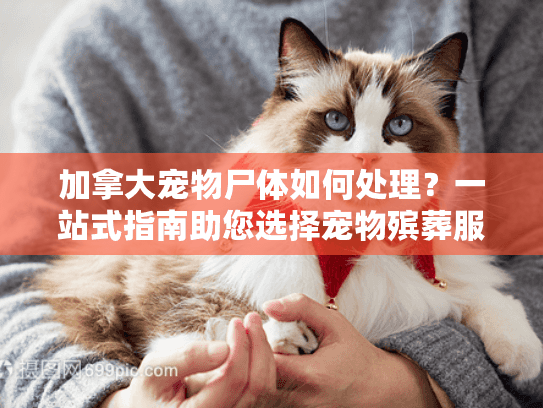 加拿大宠物尸体如何处理?一站式指南助您选择宠物殡葬服务 加拿大宠物尸体如何处理?一站式指南助您选择宠物殡葬服务