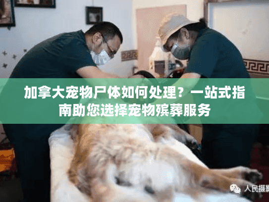 加拿大宠物尸体如何处理?一站式指南助您选择宠物殡葬服务 加拿大宠物尸体如何处理?一站式指南助您选择宠物殡葬服务