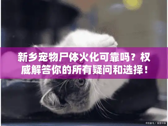 新乡宠物尸体火化可靠吗？权威解答你的所有疑问和选择！