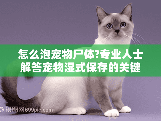 怎么泡宠物尸体?专业人士解答宠物湿式保存的关键步骤 怎么泡宠物尸体?专业人士解答宠物湿式保存的关键步骤