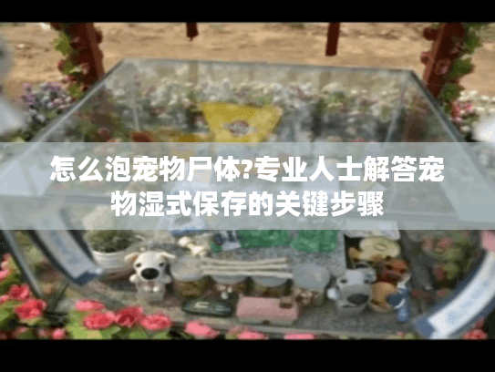 怎么泡宠物尸体?专业人士解答宠物湿式保存的关键步骤 怎么泡宠物尸体?专业人士解答宠物湿式保存的关键步骤