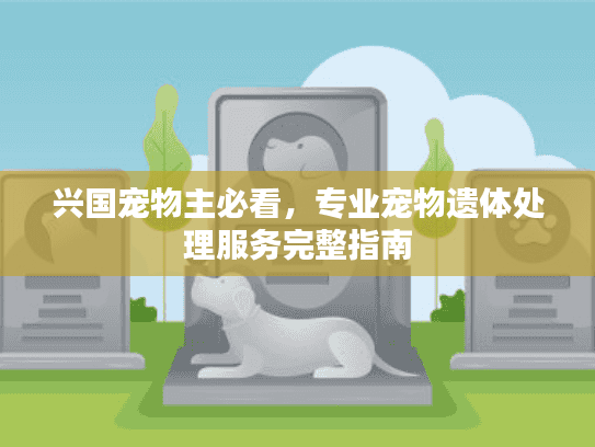 兴国宠物主必看，专业宠物遗体处理服务完整指南