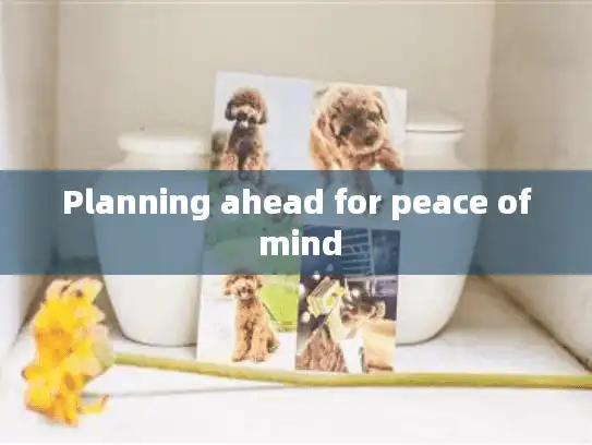 Planning ahead for peace of mind