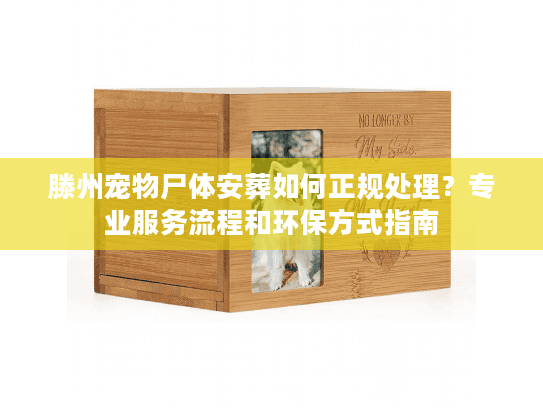 滕州宠物尸体安葬如何正规处理?专业服务流程和环保方式指南 滕州宠物尸体安葬如何正规处理?专业服务流程和环保方式指南