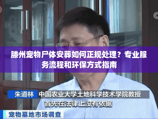 滕州宠物尸体安葬如何正规处理?专业服务流程和环保方式指南 滕州宠物尸体安葬如何正规处理?专业服务流程和环保方式指南