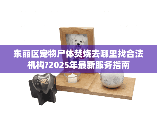 东丽区宠物尸体焚烧去哪里找合法机构?2025年最新服务指南