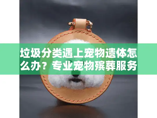 垃圾分类遇上宠物遗体怎么办?专业宠物殡葬服务完整指南 垃圾分类遇上宠物遗体怎么办?专业宠物殡葬服务完整指南