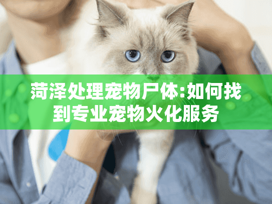 菏泽处理宠物尸体:如何找到专业宠物火化服务