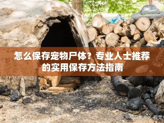 怎么保存宠物尸体？专业人士推荐的实用保存方法指南