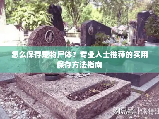 怎么保存宠物尸体？专业人士推荐的实用保存方法指南