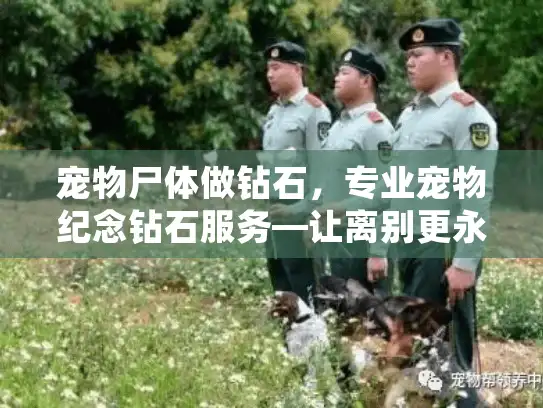 宠物尸体做钻石，专业宠物纪念钻石服务—让离别更永恒温暖