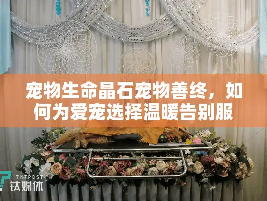 宠物生命晶石宠物善终,如何为爱宠选择温暖告别服务? 宠物生命晶石宠物善终,如何为爱宠选择温暖告别服务?