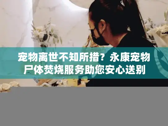 宠物离世不知所措？永康宠物尸体焚烧服务助您安心送别