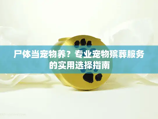 尸体当宠物养？专业宠物殡葬服务的实用选择指南