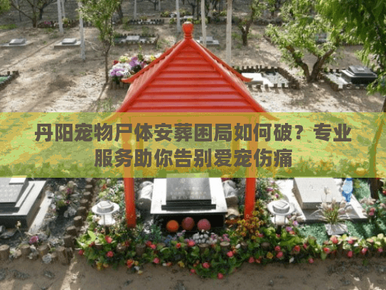丹阳宠物尸体安葬困局如何破?专业服务助你告别爱宠伤痛 丹阳宠物尸体安葬困局如何破?专业服务助你告别爱宠伤痛