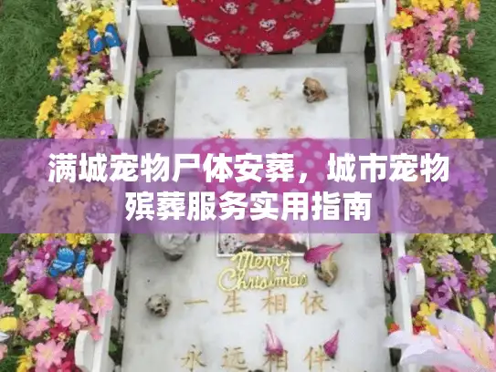 满城宠物尸体安葬，城市宠物殡葬服务实用指南