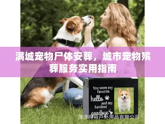 满城宠物尸体安葬，城市宠物殡葬服务实用指南